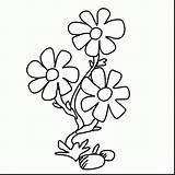 Coloring Flower Small Pages Color Jasmine Unique Printable Getcolorings Getdrawings sketch template