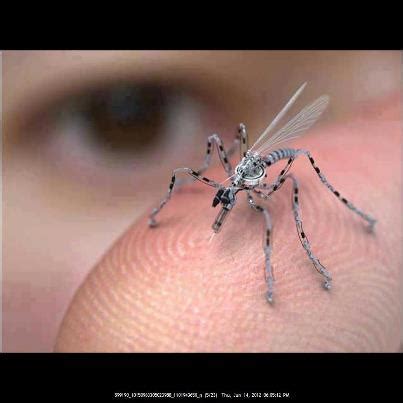 afghanistan war insect drones coming   location