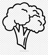 Broccoli Coloring Draw Clipart Easy Drawing Pinclipart Clip Clipartkey sketch template