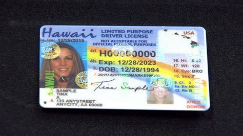 Gender X Could Soon Be An Option When Applying For Ids Drivers Licenses