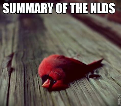 memes   chicago cubs knocking   st louis cardinals