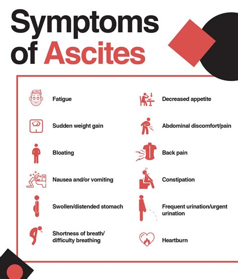 Ascites Symptoms Causes And Treatment For Fluid In The Abdomen – The