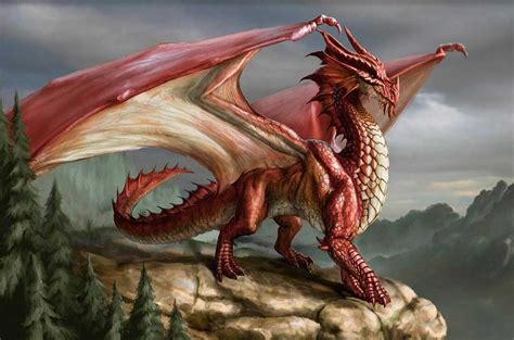 royal mint launch  welsh dragon  latest  face  coin