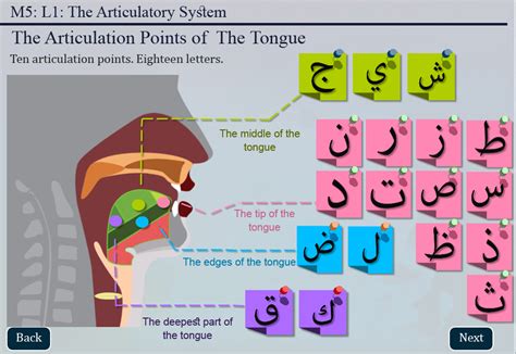 learn  read quran  tajweed rules introduction  articulation