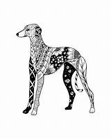 Levriero Greyhound Cane Zentangle Illustrazione Stilizzato Stiliserad Perro Estilizado Galgo Vektorillustration Mandalas Stilisiert Freehand Template Poljak Roman Stylized sketch template