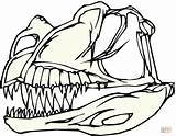 Dinosaur Coloring Pages Bones Skeleton Printable Skull Worksheet Drawing Template Color Dinosaurs Drawings Line Silhouettes sketch template