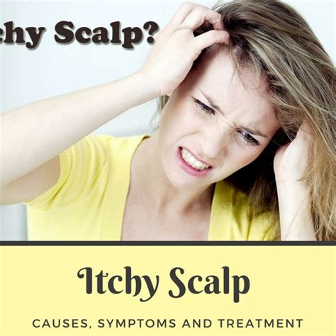 Itchy Scalp Causes Symptoms Picture And Treatment