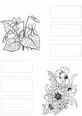 Copic Coloring Markers Alcohol Printable Pens Tutorial Flowers Pages Uploaded User Practice Template sketch template