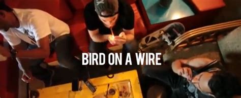 [video] bird on a wire 2 0 solo for dolo