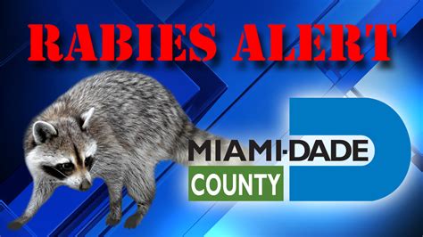 Rabies Alert Issued For Kendall After Raccoon Tests Positive