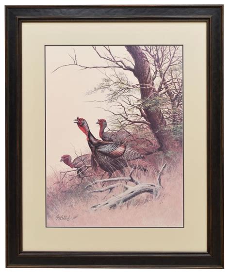 guy coheleach b 1933 framed wild turkeys print