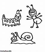 Bugs Coloring Crawling Kids Drawing sketch template