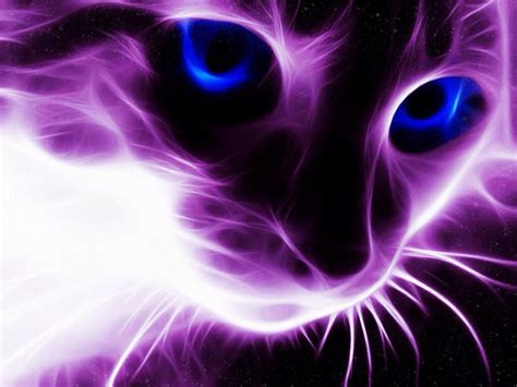 security check required purple cat cat art neon cat