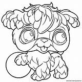 Printable Pages Littlest Pet Coloring Shop Getcolorings sketch template
