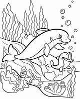Dolphins Colorir Golfinhos Desenhos Golfinho Dolphin Topcoloringpages sketch template