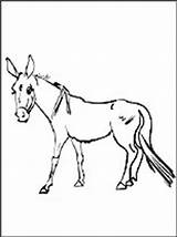 Mule Coloring 58kb 208px sketch template