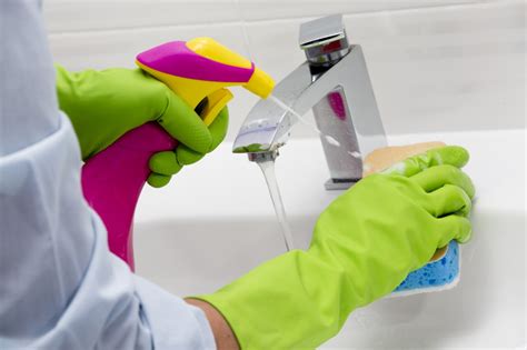 home clean  alfa cleaners regular weekly service