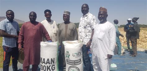 anchor borrowers programme maan rejoices  bumper harvest  gombe community