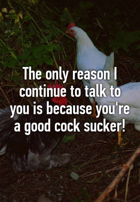 the only reason i continue to talk to you is because you re a good cock