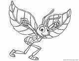 Life Flik Disneyclips Bug Coloring Pages Gif Flying sketch template