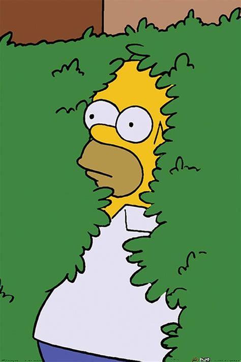 Simpsons Poster Les Homer Nella Siepe 61cm X 91 5cm 2 Aste Nere