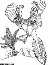 Coloring Archaeopteryx Designlooter sketch template