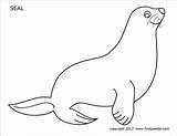 Seal Printable Coloring Pages Animal Templates Firstpalette Print Kids Animals Winter Pre sketch template