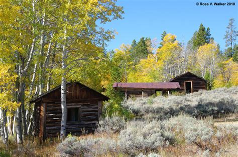cabins   aspens miners delight wyoming