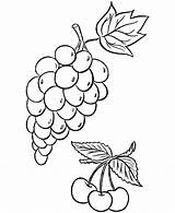 Grapes Uvas Cheetah Tudodesenhos Coloringhome sketch template
