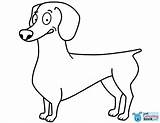 Coloring Dachshund Funny Pages Dog sketch template