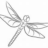Dragonfly Dragonflies sketch template