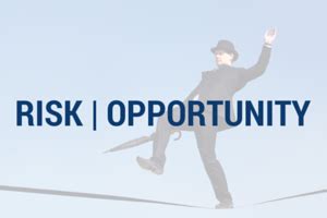 risks  opportunities   coming year pearson partners international
