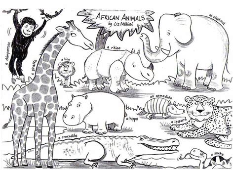 coloring page african animals   coloring page african