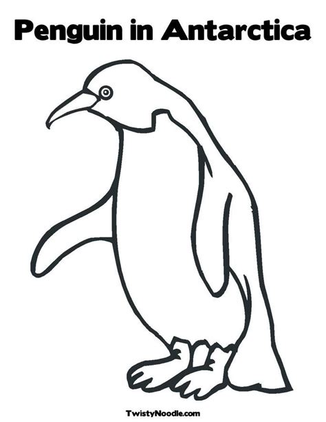penguin  antarctica coloring page clip art library