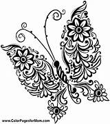 Butterfly Coloring Pages Flower Cute Adults Pot Printable Monarch Drawing Clay Color Intricate Butterflies Tropical Getcolorings Clipartmag Getdrawings Colorings Sheets sketch template
