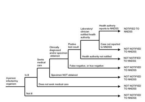 department of health australia s notifiable diseases status 2010 annual report of the