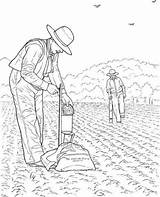 Agricultura Farmer Contadini Kleurplaat Agricultor Supercoloring Homem Atividades Uma Stampare sketch template