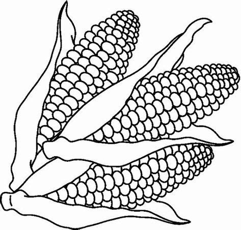 corn    coloring page beautiful   images