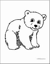 Cub Bear Clipart Coloring Polar Pages Baby Clip Cartoon Drawing Color Cliparts Cute Cubs Getdrawings Library Printable Clipground Getcolorings sketch template