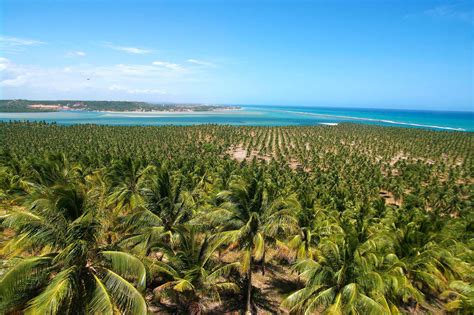 las 10 mejores playas de brasil
