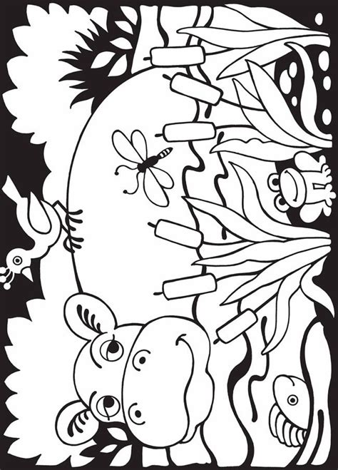 images  animals coloring pages  pinterest coloring