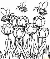 Spring Pages Tulip Beautiful Coloring Color Printable Nature Print Online sketch template