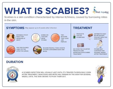 scabies symptoms causes treatment and diagnosis findatopdoc