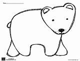 Bear Polar Outline Brown Coloring Printable Printables Preschool Pages Worksheets Pattern Word Templates Animal Animals Template Bears Book Kids Sheets sketch template