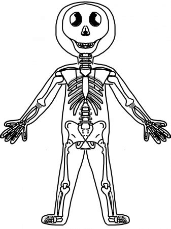 tag blank diagrams   human body systems human anatomy diagram