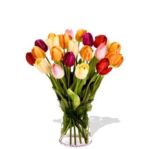24 Mixed Tulips Bouquet Pak Tak Florist H K Ltd