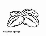 Coloring Peanut Nuts Pages Colorear Butter Deez Getdrawings Getcolorings Coloringcrew Template sketch template
