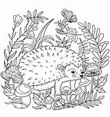 Hedgehog Realistic Pages Coloring Template sketch template