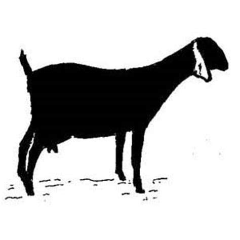 image result  nubian milk goat silhouette goat clipart goat art