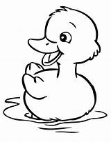 Duck Coloring Cute Little Netart sketch template